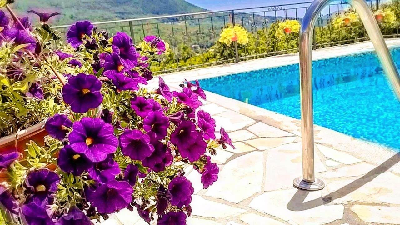 Apartmani Dumezic Bar Habitación foto