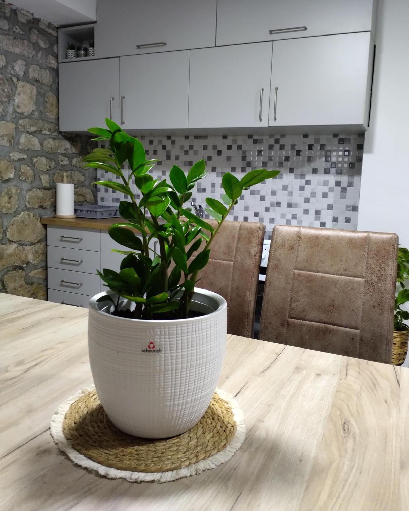 Apartmani Dumezic Bar Habitación foto